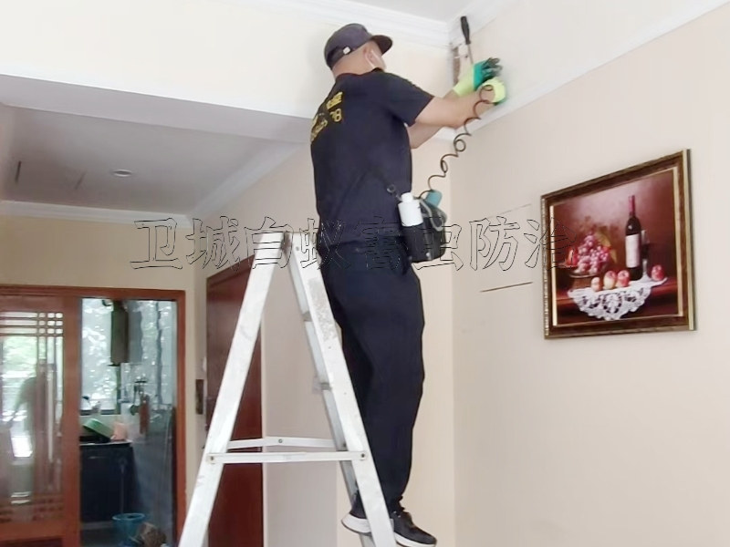 �������ڰ��Ϸ���